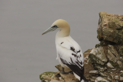 20210516145712_IMG_2736