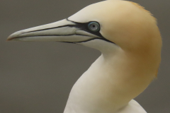 20210516151645_IMG_27612