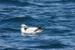 20230311021225_IMG_7662