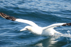 20230311021401_IMG_7679