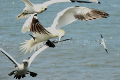 20230503145725_IMG_9515