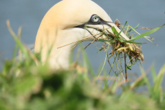 20230503145923_IMG_9518