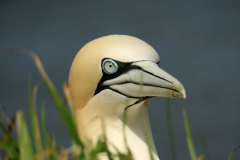 20230503150040_IMG_9527