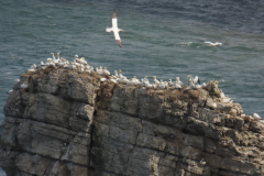 20230716145931_IMG_9632