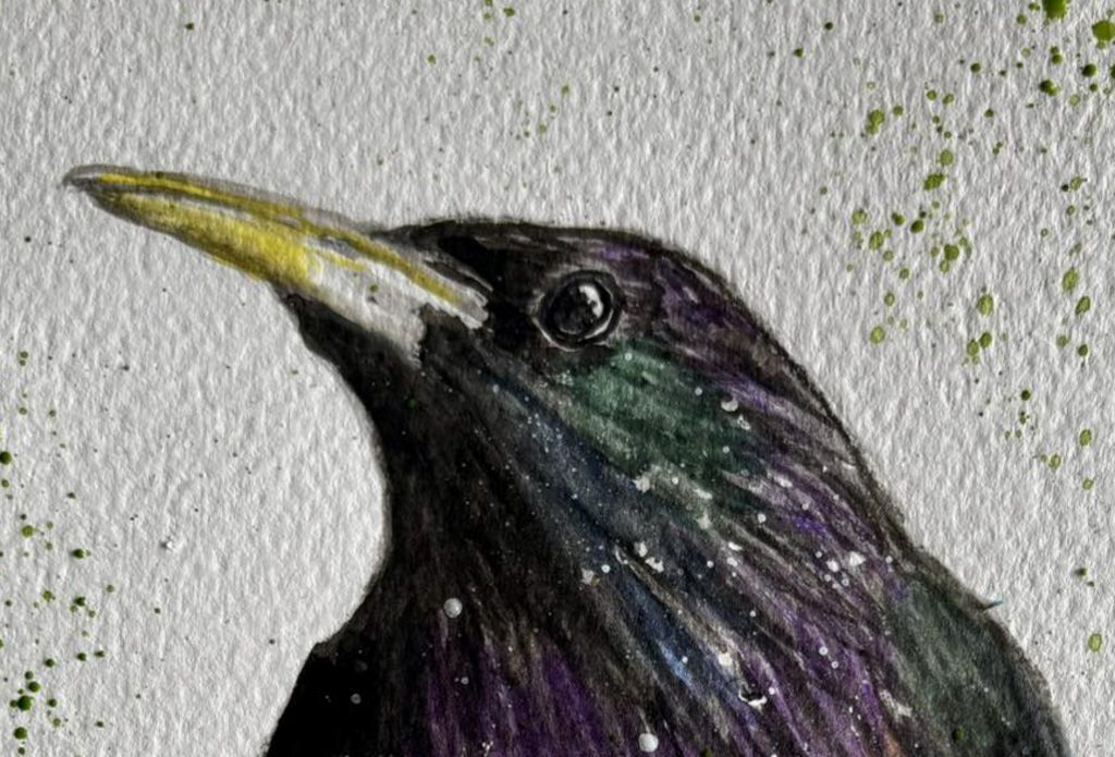 Detail of a Starling by Adele Croxall Ellis